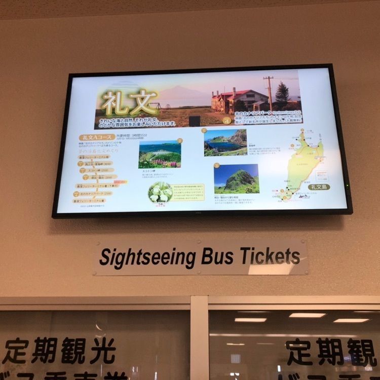 タッキーさんが投稿した礼文島観光コースに関する口コミの画像