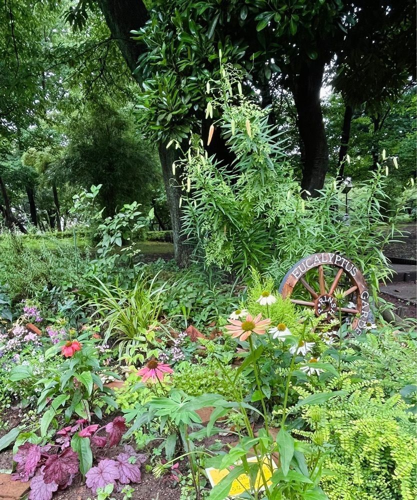 active34さんが投稿した都立林試の森公園に関する口コミの画像