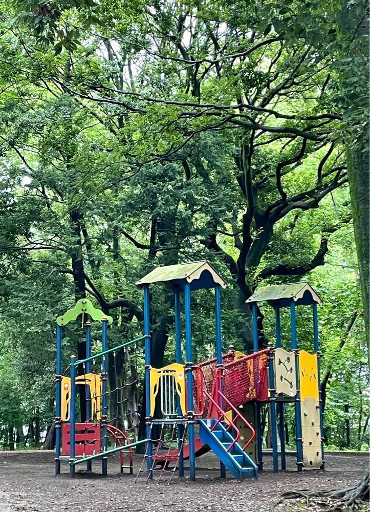 active34さんが投稿した都立林試の森公園に関する口コミの画像