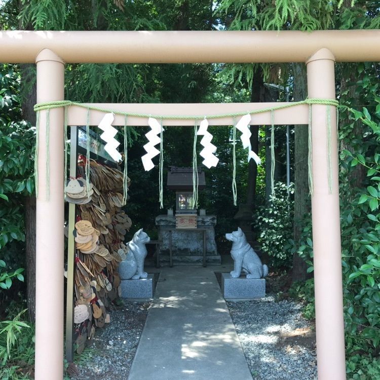 鞍之介さんが投稿した座間市ひまわり畑 栗原会場に関する口コミの画像