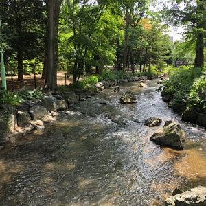 中島公園