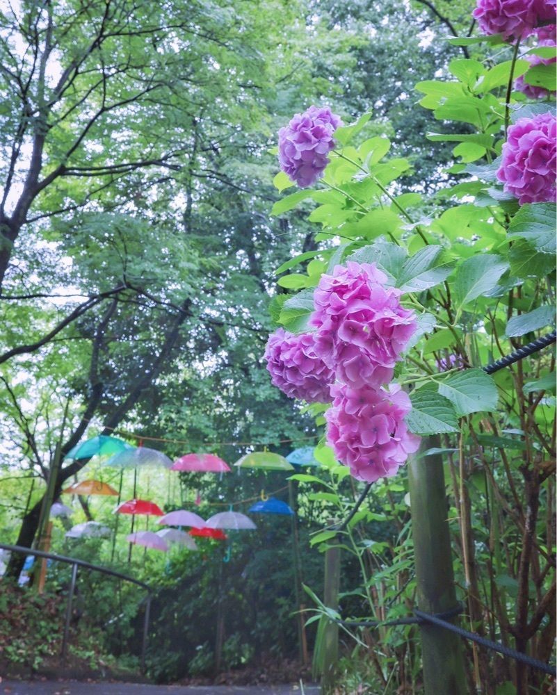 satomi24さんが投稿した長野公園に関する口コミの画像