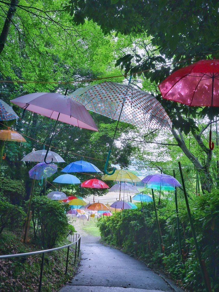 satomi24さんが投稿した長野公園に関する口コミの画像