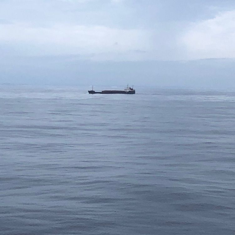 タッキーさんが投稿した仏浜海岸・小浜海岸・毛萓海岸に関する口コミの画像