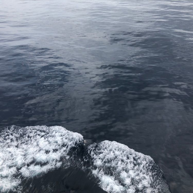 タッキーさんが投稿した四倉海水浴場に関する口コミの画像