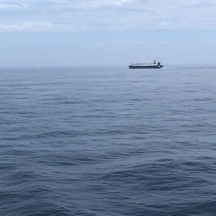 タッキーさんが投稿した四倉海水浴場に関する口コミの画像
