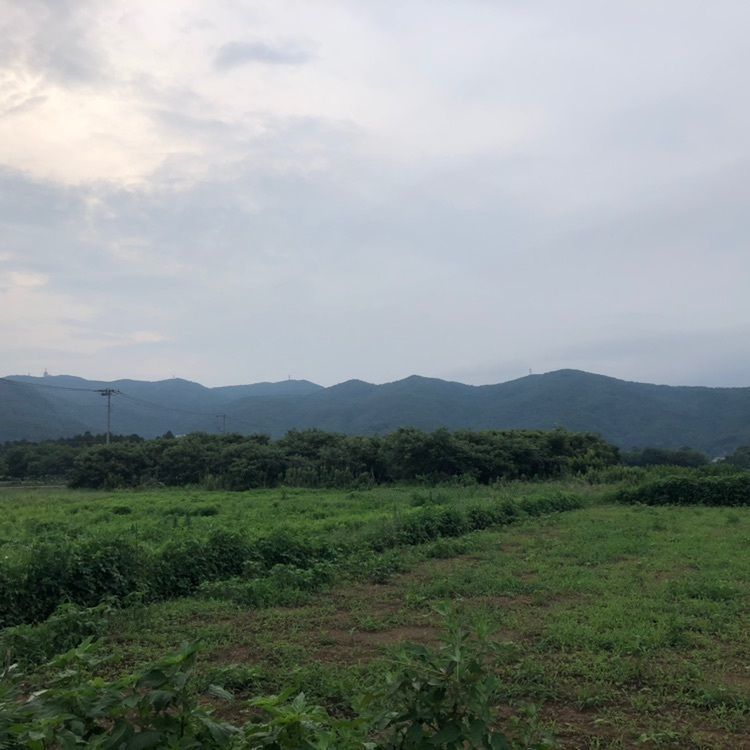 タッキーさんが投稿した筑波ふれあいの里に関する口コミの画像