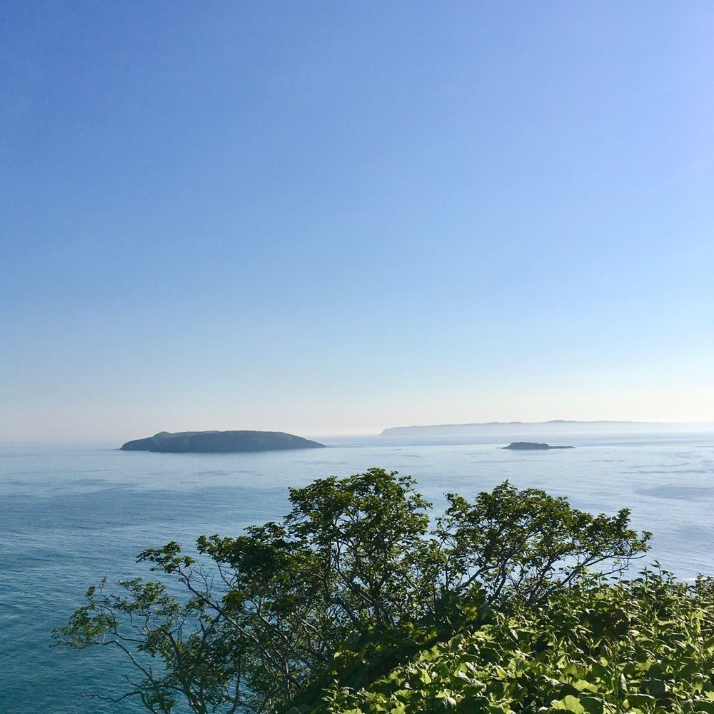 yoshiさんが投稿した原生花園あやめヶ原に関する口コミの画像