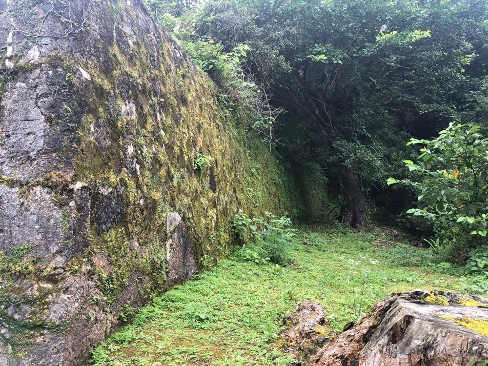 MIKASAさんが投稿した琉球石垣に関する口コミの画像