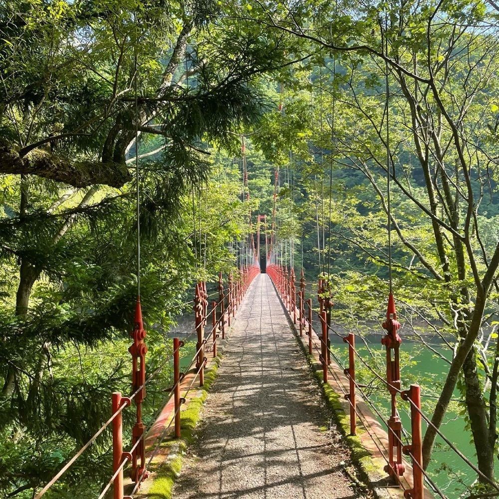 o__cha0505さんが投稿した我谷ダム湖に関する口コミの画像