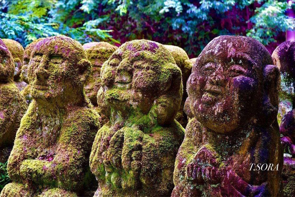 sorayanさんが投稿した愛宕念仏寺に関する口コミの画像
