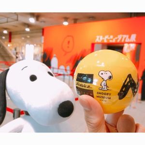 名古屋市博物館 6枚目