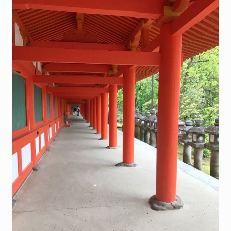 杏実さんが投稿した画像の画像