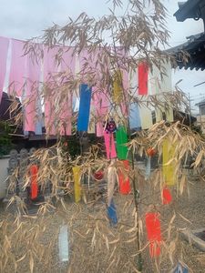 浄土宗浄安寺