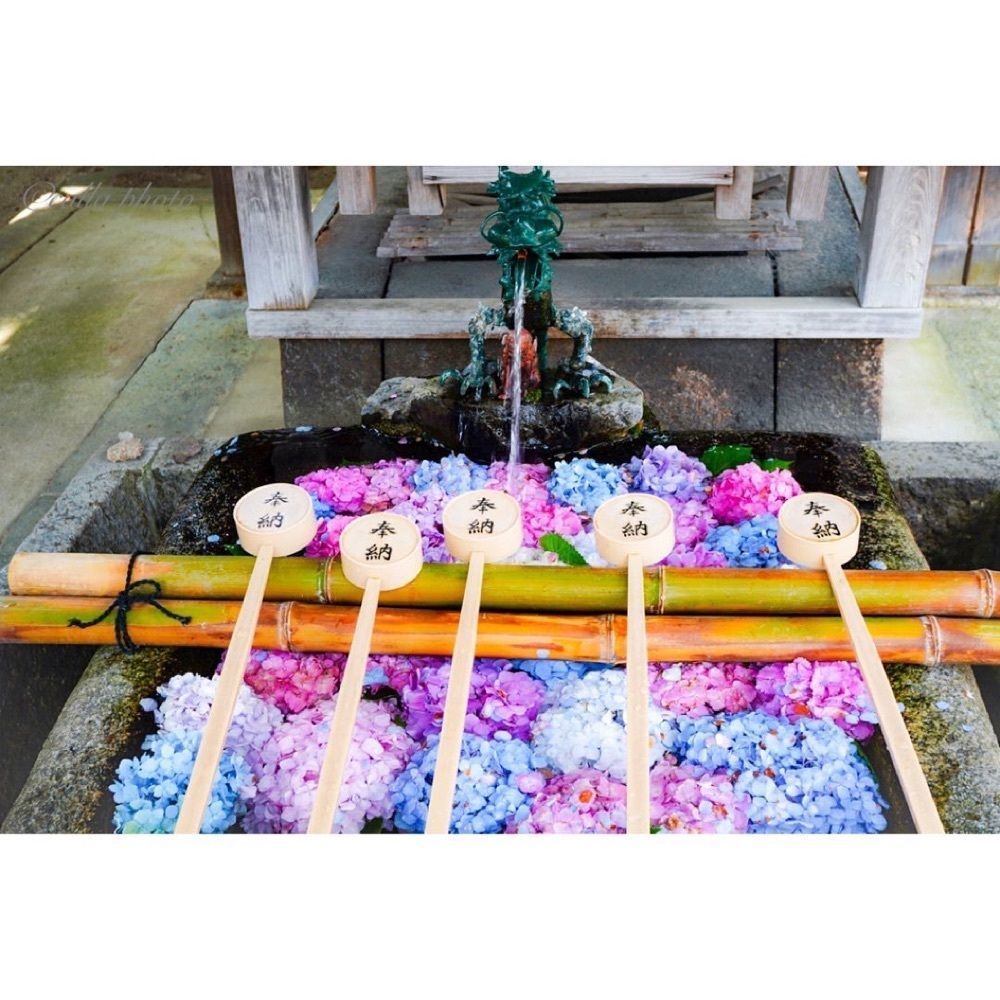 urban_garden_243aさんが投稿した藤森神社に関する口コミの画像