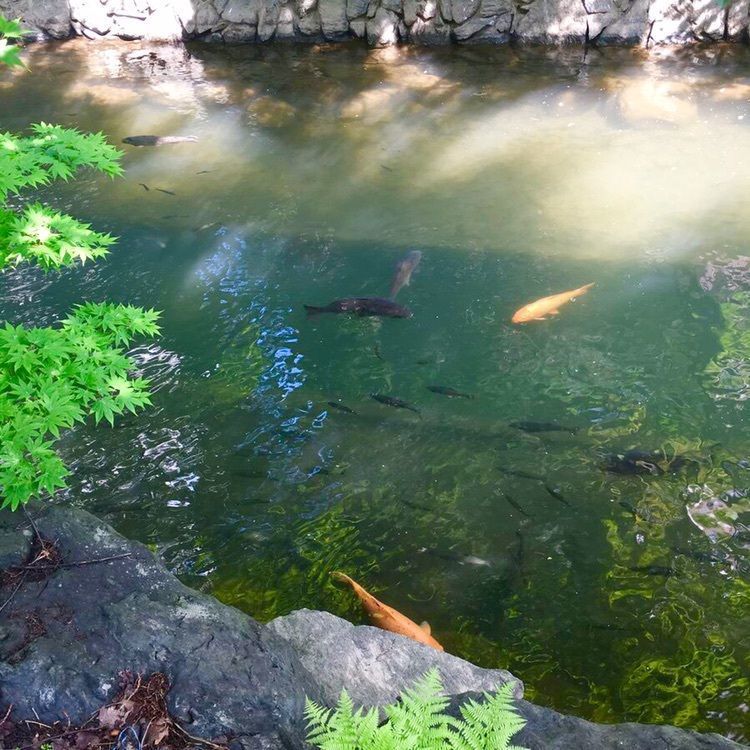 ellyさんが投稿した中島公園駅に関する口コミの画像