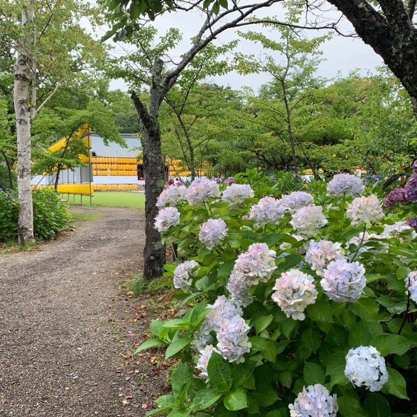 しゃんぽんさんが投稿した茨城県護国神社に関する口コミの画像