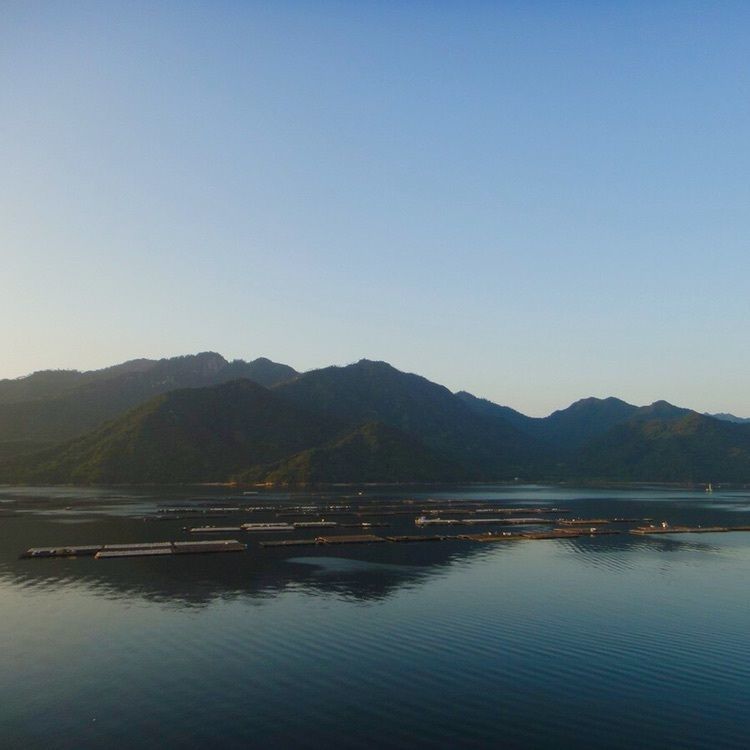 ellyさんが投稿した宮島包ヶ浦自然公園キャンプ場に関する口コミの画像