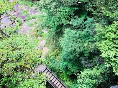 鬼の舌震