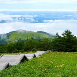 8月まで見頃 鮮やか黄色のお花 関東近郊ニッコウキスゲ名所5選 Aumo アウモ