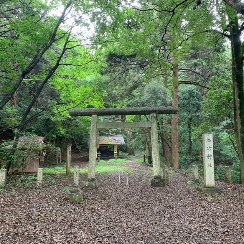 しゃんぽんさんが投稿した佐白山麓公園に関する口コミの画像