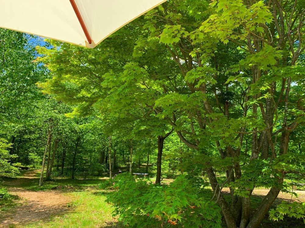 Hitomiさんが投稿した養命酒　駒ヶ根工場　カフェ＆ショップに関する口コミの画像