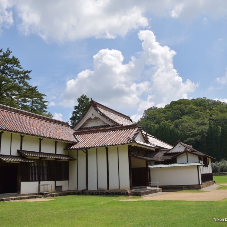 還暦オヤジさんが投稿した閑谷学校楷の木に関する口コミの画像