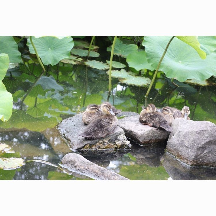 あっけさんが投稿した松が岬公園に関する口コミの画像