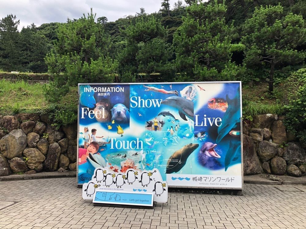 ＫＨさんが投稿した城崎マリンワールド　シーランドレストランに関する口コミの画像