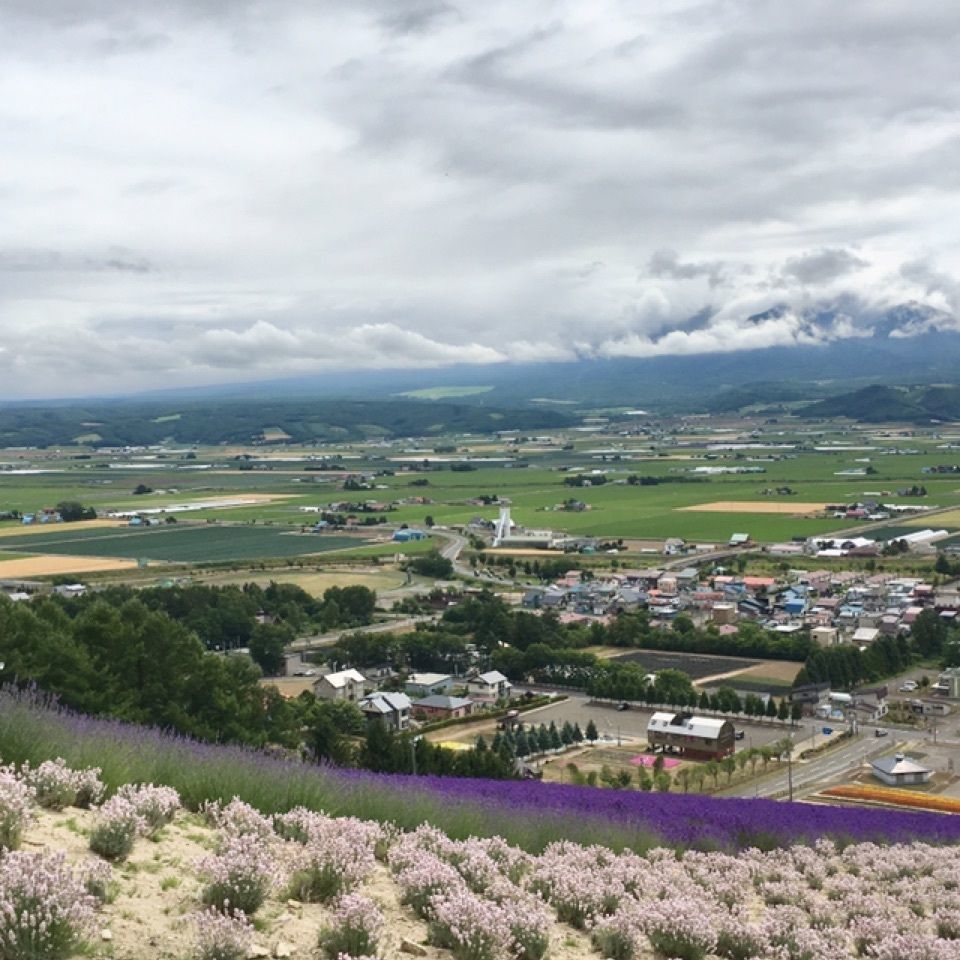 yoshiさんが投稿した北星山　ラベンダー園に関する口コミの画像