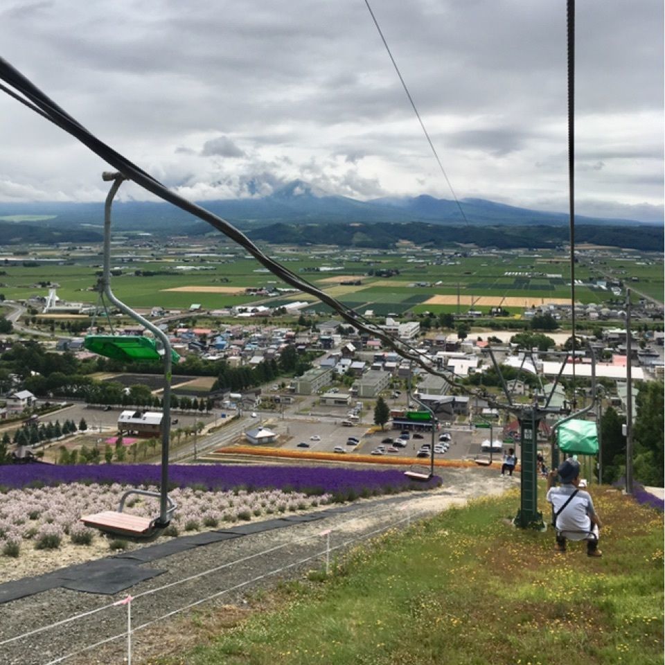 yoshiさんが投稿した北星山　ラベンダー園に関する口コミの画像
