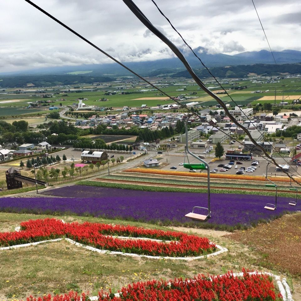 yoshiさんが投稿した北星山　ラベンダー園に関する口コミの画像