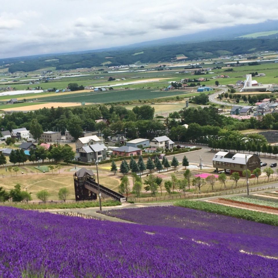 yoshiさんが投稿した北星山　ラベンダー園に関する口コミの画像