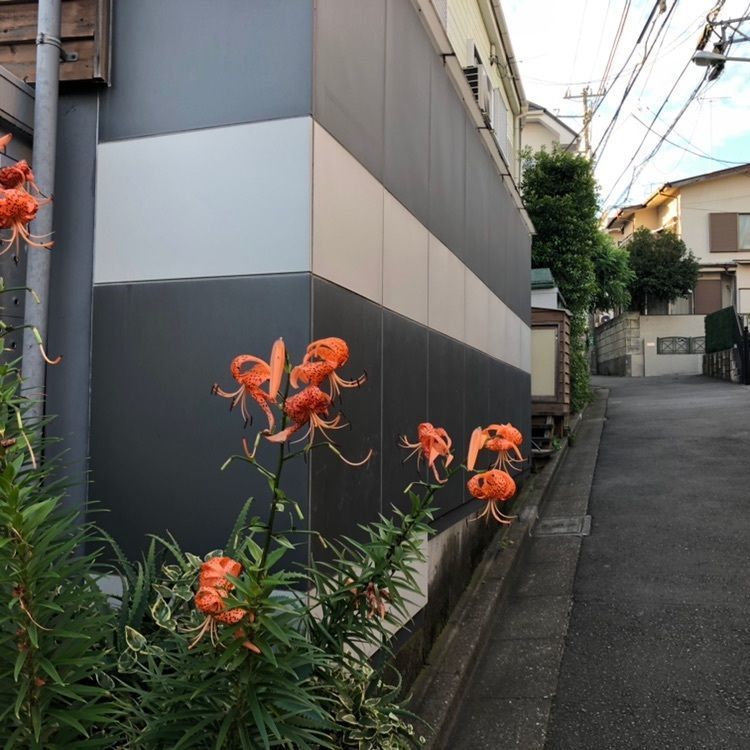 タッキーさんが投稿したPOTASTA 代々木上原本店（ポタスタ）に関する口コミの画像