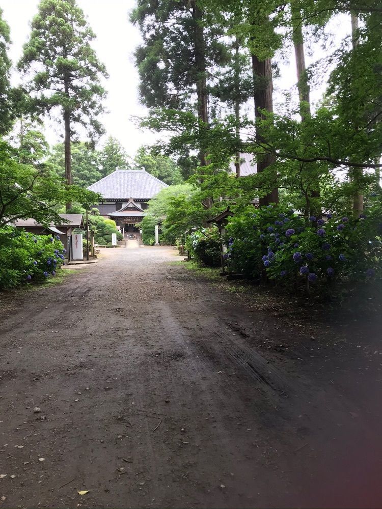 nostalgic_tourism_1541さんが投稿した正東山日本寺に関する口コミの画像