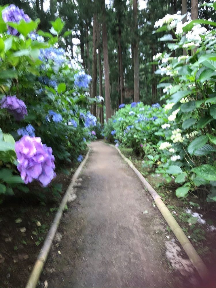 nostalgic_tourism_1541さんが投稿した正東山日本寺に関する口コミの画像