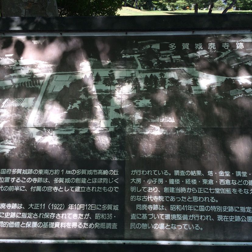 しゃんぽんさんが投稿した多賀城廃寺跡に関する口コミの画像