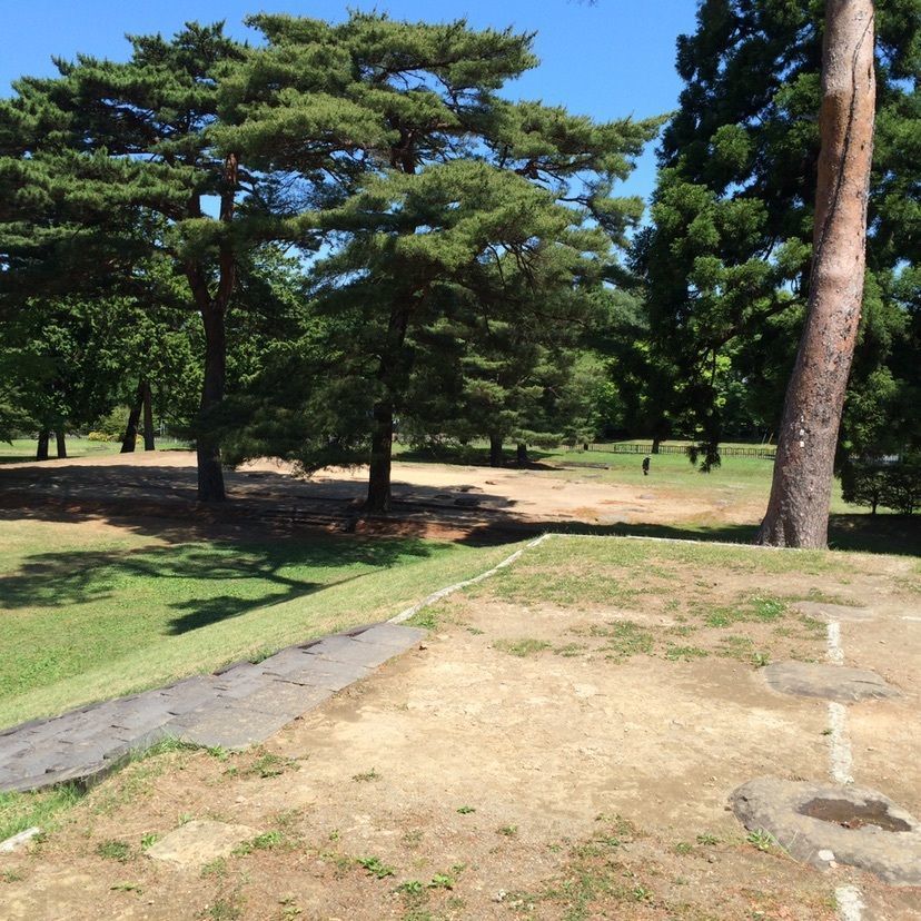 しゃんぽんさんが投稿した多賀城廃寺跡に関する口コミの画像
