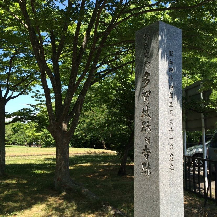 しゃんぽんさんが投稿した多賀城廃寺跡に関する口コミの画像