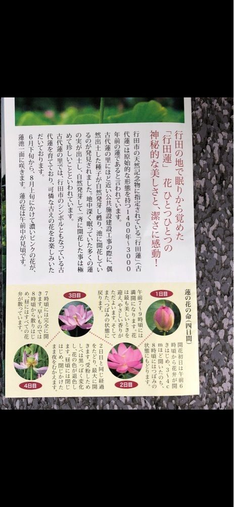 jamesさんが投稿した東京メトロ千代田線北綾瀬駅に関する口コミの画像