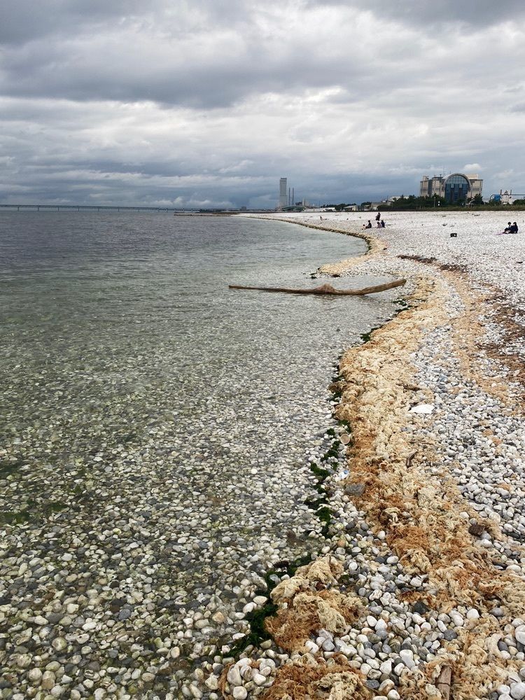 Beautiful placeさんが投稿したロングパーク 海のマルシェ（LONG PARK 海のマルシェ）に関する口コミの画像