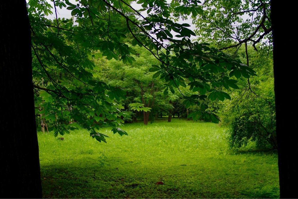 junkunさんが投稿した都立武蔵野公園に関する口コミの画像
