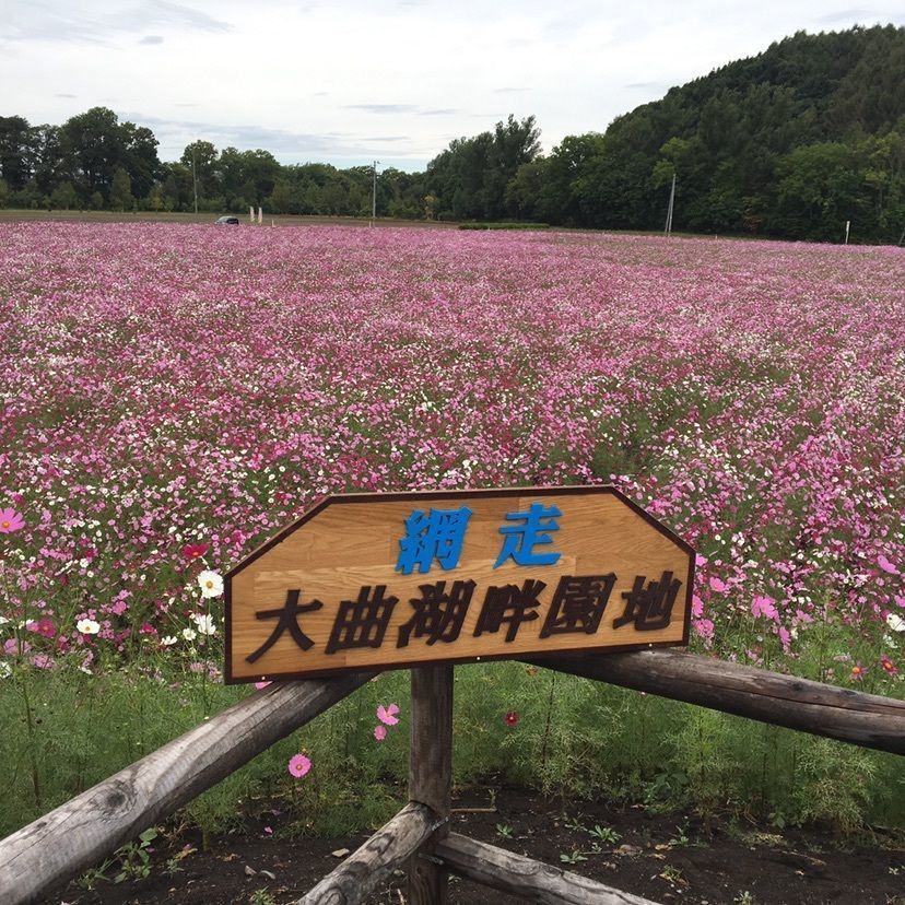 しゃんぽんさんが投稿した網走市大曲湖畔園地に関する口コミの画像
