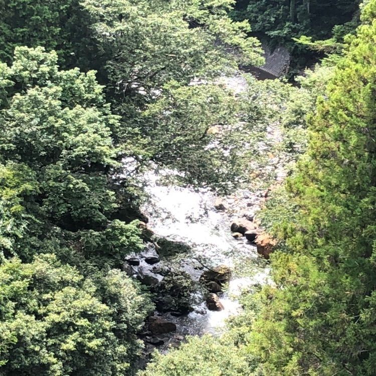 タッキーさんが投稿した椿キャンプ場に関する口コミの画像