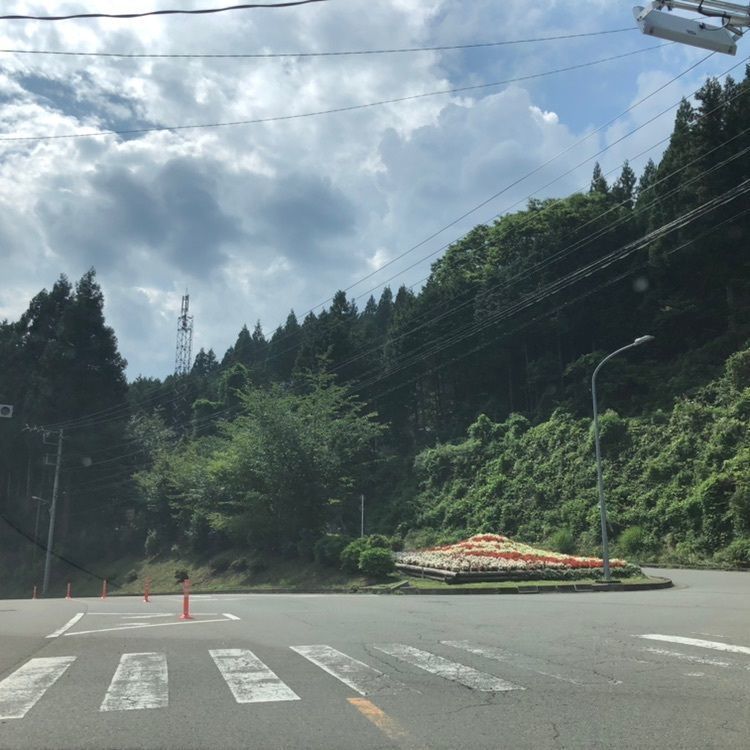 タッキーさんが投稿した道志全域に関する口コミの画像