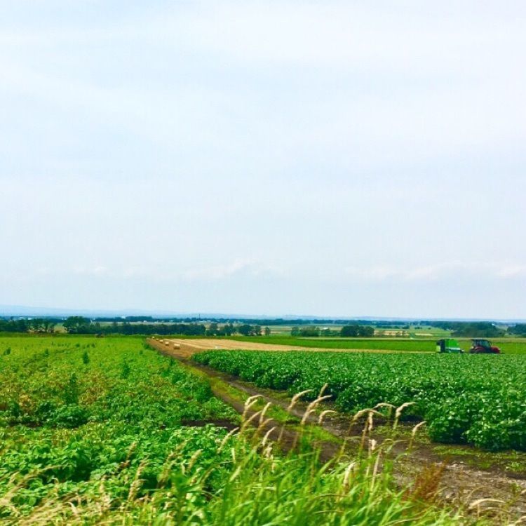 ellyさんが投稿した長沼町に関する口コミの画像