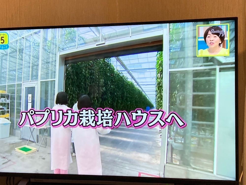 Howl Monさんが投稿した四季の旬菓と和心スイーツ専門店 玉華堂 ららぽーと磐田店に関する口コミの画像