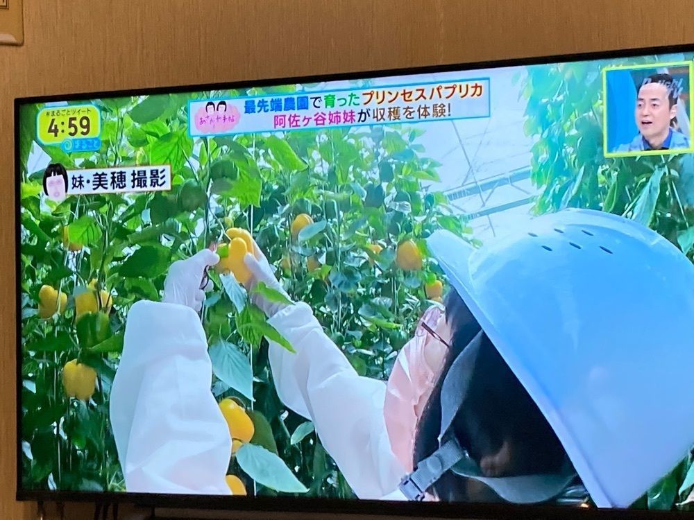 Howl Monさんが投稿した四季の旬菓と和心スイーツ専門店 玉華堂 ららぽーと磐田店に関する口コミの画像