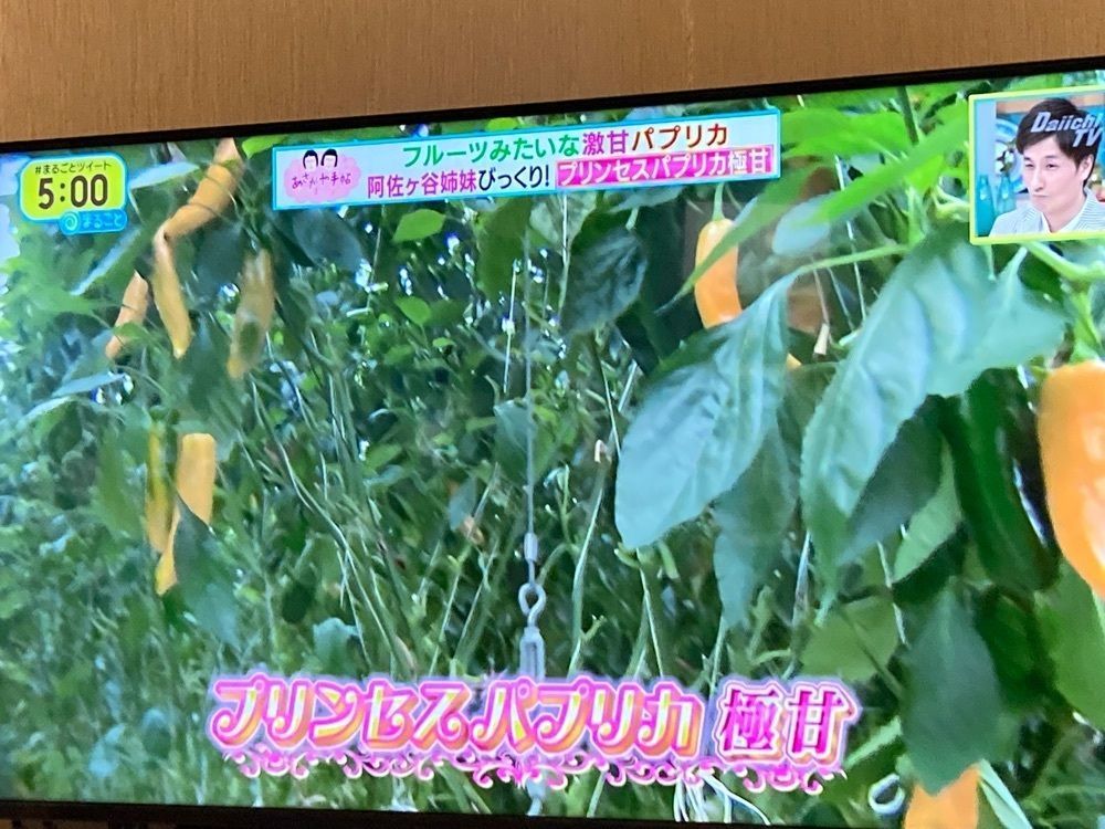 Howl Monさんが投稿した四季の旬菓と和心スイーツ専門店 玉華堂 ららぽーと磐田店に関する口コミの画像