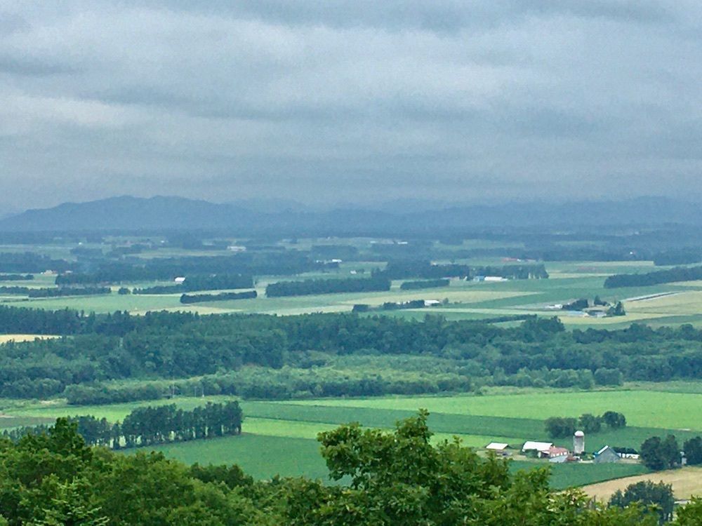 yoshiさんが投稿した新嵐山スカイパークに関する口コミの画像